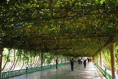 光荣：《仁王》系列累计销量超700万套